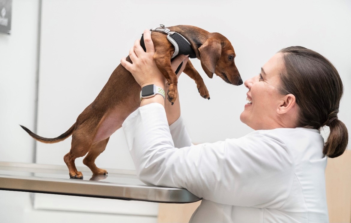 Mars veterinary deals services